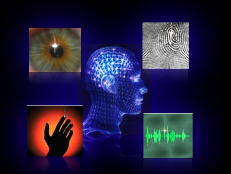 指紋、 聲紋、 腦波、 虹膜等等生物辨識資訊