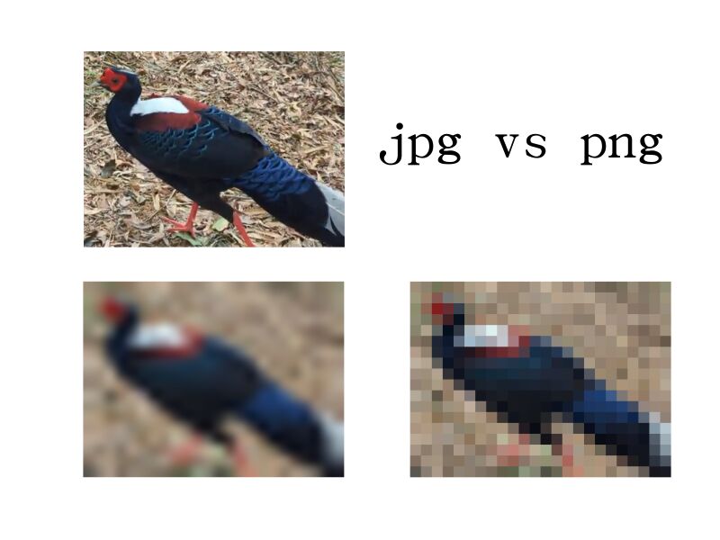 jpg vs png