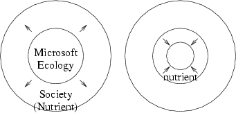 [Microsoft Ecosystem]